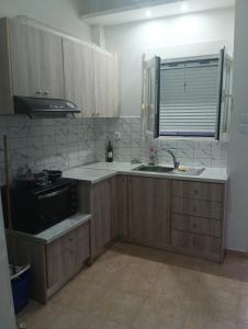 a kitchen with wooden cabinets and a sink and a microwave at Studio Jim in Volos