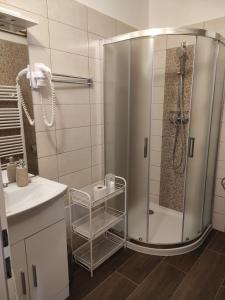uma casa de banho com um chuveiro e um lavatório. em Apartmány Greg em České Budějovice