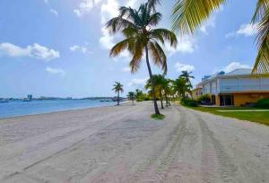 a sandy beach with palm trees and a building at Superbe studio lumineux, vue sur piscine et mer in Baie Nettle