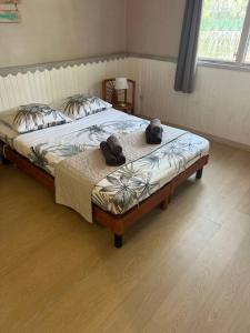 Letto o letti in una camera di Le Ti Dauphin plage Anse a L'âne