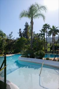 een zwembad met een palmboom op de achtergrond bij Casa Jilou in Mijas Costa