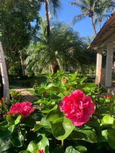 un grupo de flores rosas en un jardín con palmeras en Pousada da Renata en Jericoacoara