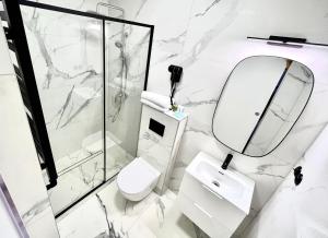 a bathroom with a toilet sink and a mirror at Pod Różą in Łeba