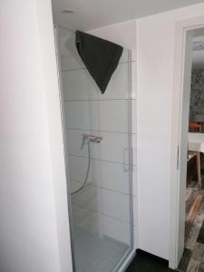 a shower with a glass door in a bathroom at Ferienwohnung IV Sarrebriese in Bottmersdorf