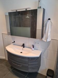 ein Bad mit einem Waschbecken und einem Spiegel in der Unterkunft Suite Crissie in Bernburg