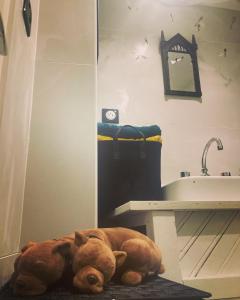 un ours en peluche posé sur le sol d'une salle de bains dans l'établissement Les sorciers, la Diligence St Jean de Losne, à Saint-Jean-de-Losne
