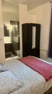 普瓦捷的住宿－B - Le petit Paradis，一间卧室设有一张大床和一个大镜子