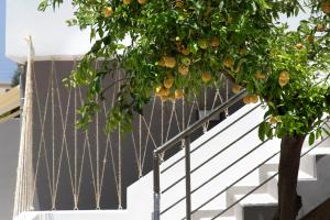 Kép Chania Design Suites szállásáról Haniában a galériában