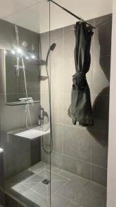 普瓦捷的住宿－B - Le petit Paradis，浴室里设有玻璃门淋浴