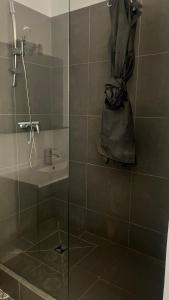 een badkamer met een douche en een glazen deur bij B - Le petit Paradis in Poitiers
