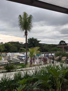a palm tree in the middle of a park at Ecoresort Quinta de Sta Bárbara in Pirenópolis