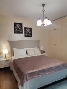 ein Schlafzimmer mit einem großen Bett in einem Zimmer in der Unterkunft Unirii Apartament 2 in Bukarest