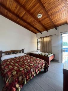ein Schlafzimmer mit einem Bett und einem großen Fenster in der Unterkunft Gaudys Hotel in San José