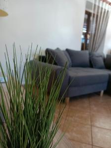 un sofá azul en una sala de estar con una planta en Apartment Tea en Preko