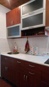 Kuchyň nebo kuchyňský kout v ubytování Guest House Central + 10 fotografií