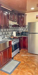a kitchen with wooden cabinets and a stainless steel refrigerator at Odyssey Suites Loft Apartment in Georgetown