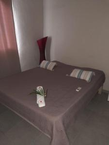 Postel nebo postele na pokoji v ubytování VILLA CAPACITE 6 PERSONNES PROCHE PLAGES DU Sud