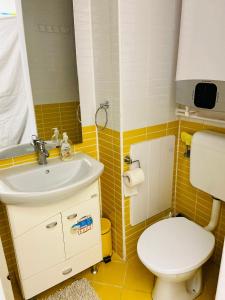 a small bathroom with a toilet and a sink at Apartament litoral in Saturn