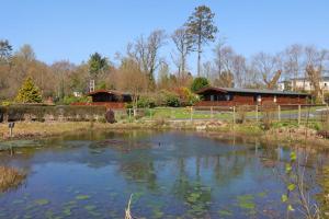 a pond with water lilies in front of a building at Birchlea in Kippford