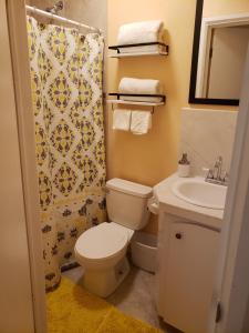 a bathroom with a toilet and a sink and a shower at Kaylavill in Nassau