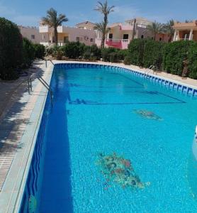 una gran piscina con agua azul y palmeras en Villa Dina en Sharm El Sheikh