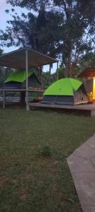 a green tent and a gazebo in a park at Tranquille Campsite in San Isidro