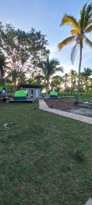 a park with two green tents and palm trees at Tranquille Campsite in San Isidro