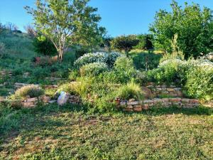 Gallery image of Quinta TreeWindBee in Alenquer +27 photos