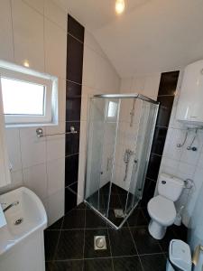 a bathroom with a shower and a toilet and a sink at Indijano Apartment in Ohrid