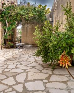 Il Gnejna في زاغرا: ساحة مع أرضية حجرية ونباتات ومبنى
