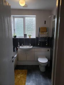 a bathroom with a toilet and a sink and a window at Family house with ceiling hoist & wet room in Bishops Tachbrook