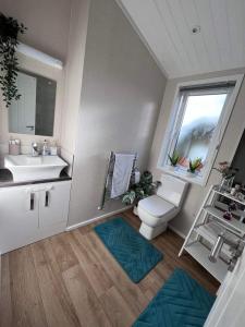 a bathroom with a sink and a toilet and a window at Family home in Northampton