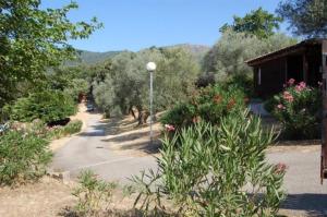 a street light in a garden with trees and flowers at Gites Chalets de Grosseto-Prugna in Grosseto-Prugna