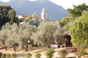 a group of trees with a building in the background at Gites Chalets de Grosseto-Prugna in Grosseto-Prugna