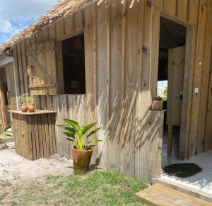 ein Holzgebäude mit einer Topfpflanze davor in der Unterkunft Cabana Cachandó in Corumbau