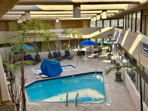 海豹灘的住宿－太平洋旅館，一座带椅子和遮阳伞的室内游泳池