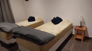 ルハン・デ・クージョにあるDúplex 2 Luján de Cuyoのナイトスタンド付きの客室で、ベッド2台が備わります。