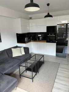 Kuchyňa alebo kuchynka v ubytovaní Apartament Księcia Janusza