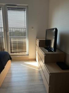 Televízia a/alebo spoločenská miestnosť v ubytovaní Apartament Księcia Janusza
