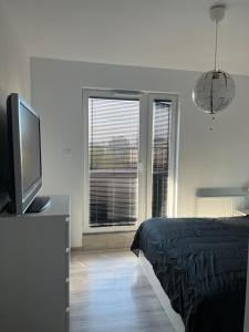 Televízia a/alebo spoločenská miestnosť v ubytovaní Apartament Księcia Janusza