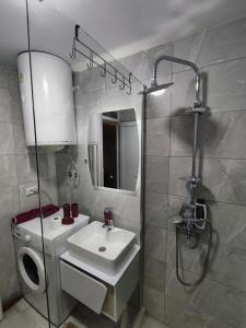 La salle de bains est pourvue d'un lavabo et d'une douche. dans l'établissement Msm-2, à Pristina
