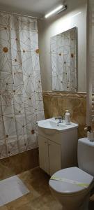 a bathroom with a toilet and a sink and a mirror at Apartament Faleza Nord in Constanţa