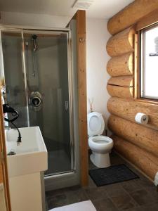 a bathroom with a toilet and a glass shower at Cariboo Log Guest House in Lac La Hache