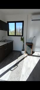 a kitchen with a potted plant and a window at Cabaña campestre con alberca in El Saucito