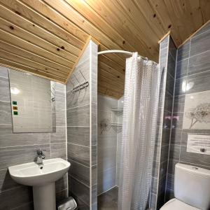 een badkamer met een wastafel, een toilet en een douche bij Апартаменти "У Кузьмича" 2 in Mykulychyn