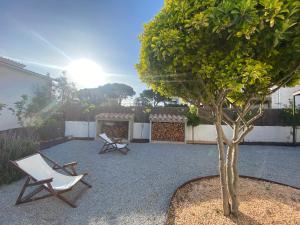 eine Terrasse mit 2 Stühlen und einem Baum in der Unterkunft Apartamentos Lu, Playa de Pals in Pals