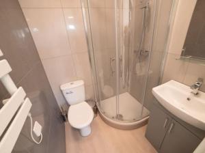 een badkamer met een douche, een toilet en een wastafel bij Spacious and Stylish 1 Bed Modern Flat in Londen