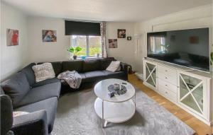 sala de estar con sofá y TV de pantalla plana grande en Stunning Home In Berghem With House A Panoramic View, 