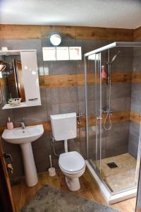 a bathroom with a toilet and a sink and a shower at Chalet Mediterraneo in Ulcinj