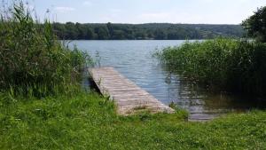 uma doca de madeira no meio de um lago em Domek letniskowy w Górznie em Górzno
